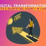 Digital transformation with a marketing agency in Cairo